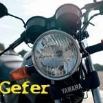 Gefer